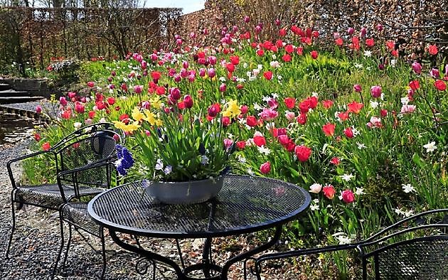  - Het Tuinpad Op / In Nachbars Garten