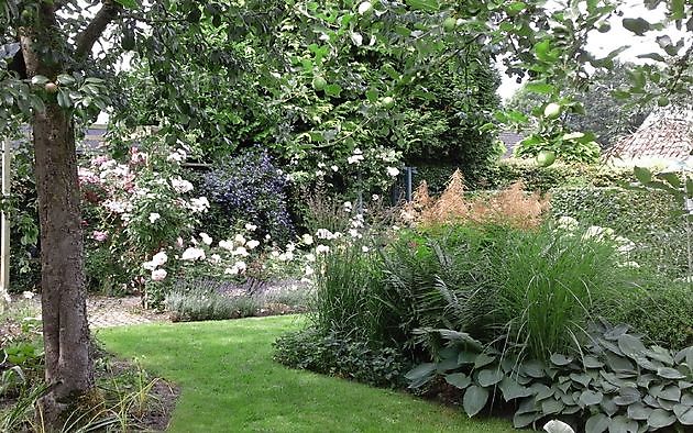  - Het Tuinpad Op / In Nachbars Garten