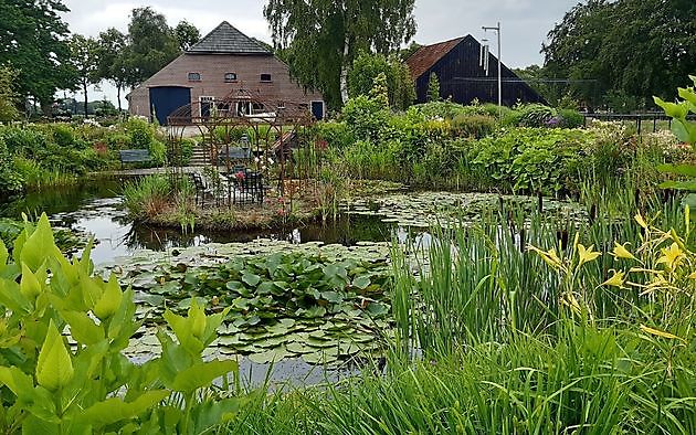 De Eendepoel Sellingen