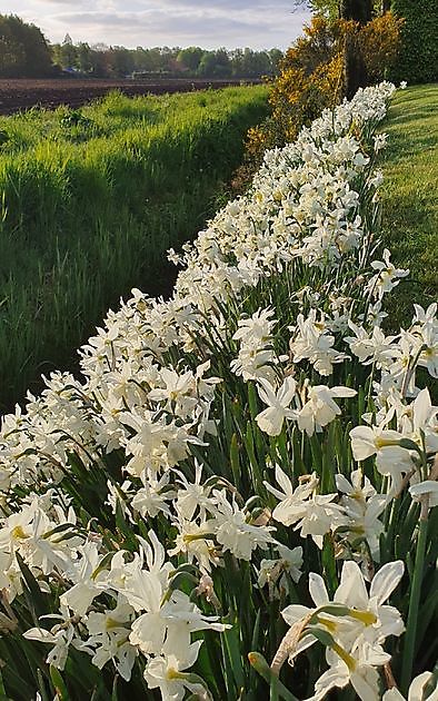 Garten Nauta de Blaauw Slochteren