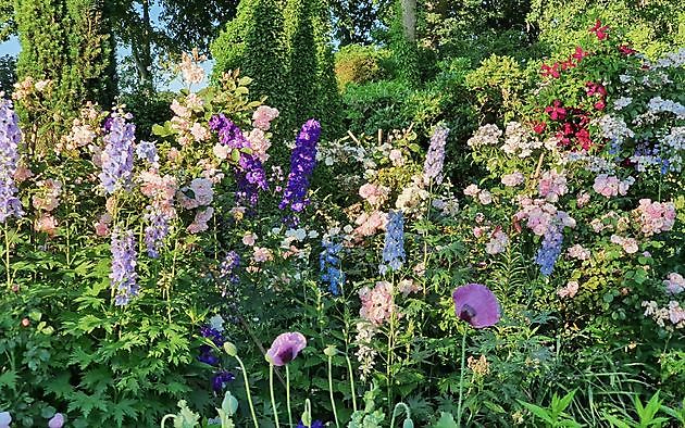 Garten Nauta de Blaauw Slochteren