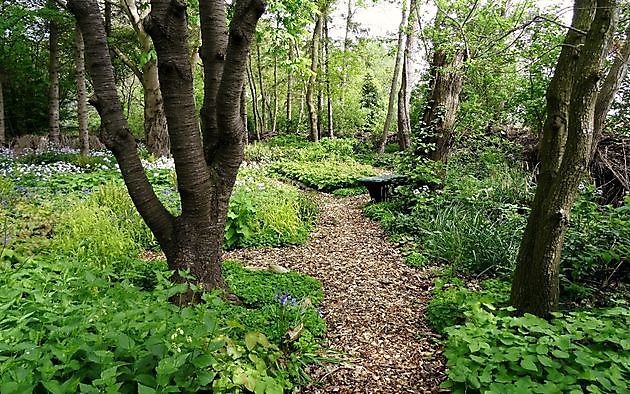 Jan Wilde een Tuin Westerlee