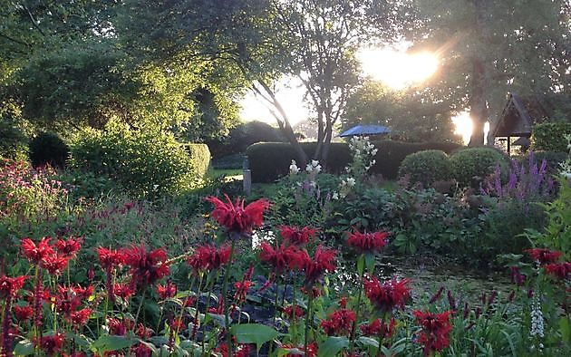 Garten Chris Bruinsma Zuidwolde - Het Tuinpad Op / In Nachbars Garten