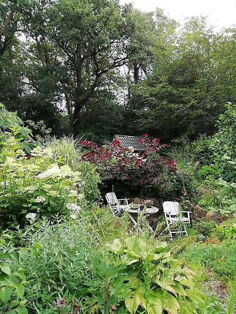  - Het Tuinpad Op / In Nachbars Garten