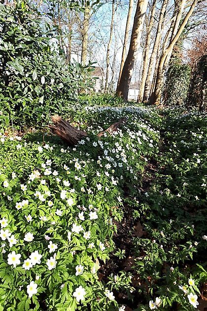 Op 't Kloosterveen Smilde