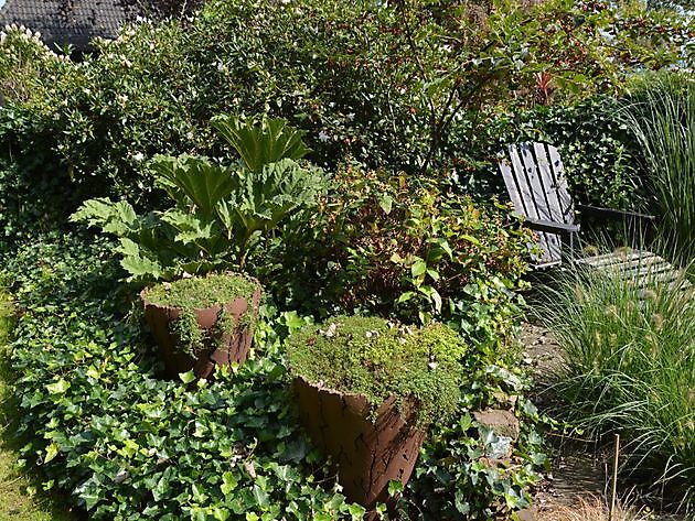 Beeldentuin Ruigstaal Ten Boer - Het Tuinpad Op / In Nachbars Garten