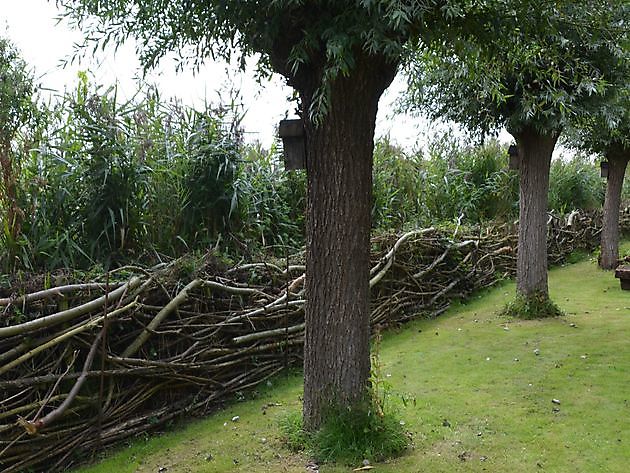 Skulpturengarten Ruigstaal Ten Boer