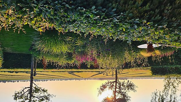 Heerloo in de Landouwen Odoornerveen