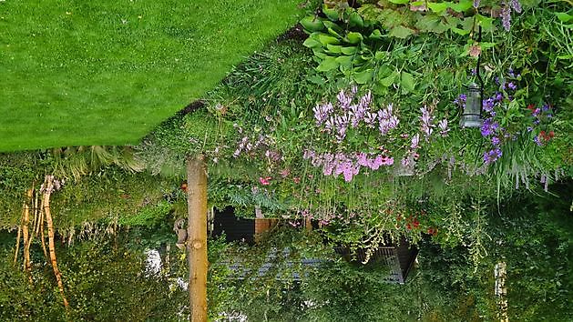 Heerloo in de Landouwen Odoornerveen