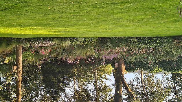 Heerloo in de Landouwen Odoornerveen