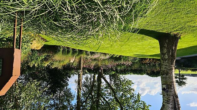 Heerloo in de Landouwen Odoornerveen