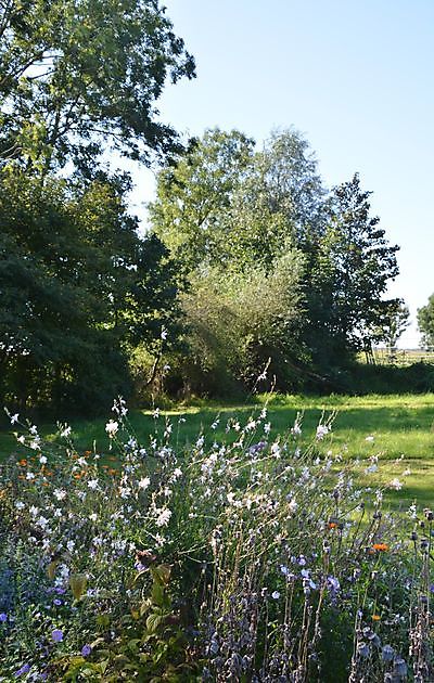 De Boerderijtuin Beerta