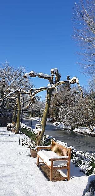 Arboretum Neuenkoop Berne