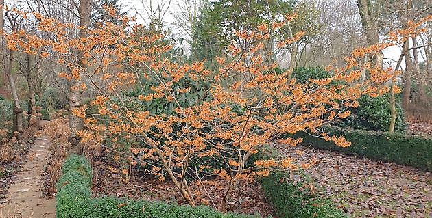 Arboretum Neuenkoop Berne