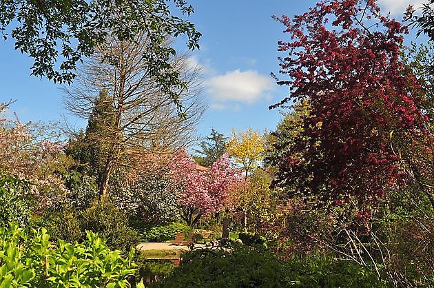 Arboretum Neuenkoop Berne
