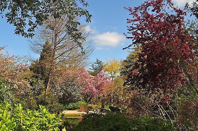 Arboretum Neuenkoop Berne