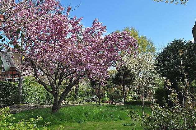  - Het Tuinpad Op / In Nachbars Garten