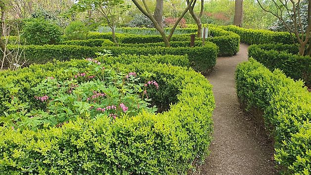 Arboretum Neuenkoop Berne