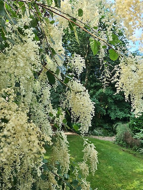 Arboretum Neuenkoop Berne