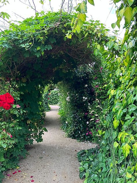 De Cleyne Hortus Nieuw Beerta - Het Tuinpad Op / In Nachbars Garten