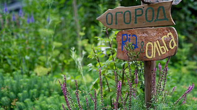 BlommenTuin Buinen - Het Tuinpad Op / In Nachbars Garten