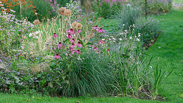  - Het Tuinpad Op / In Nachbars Garten