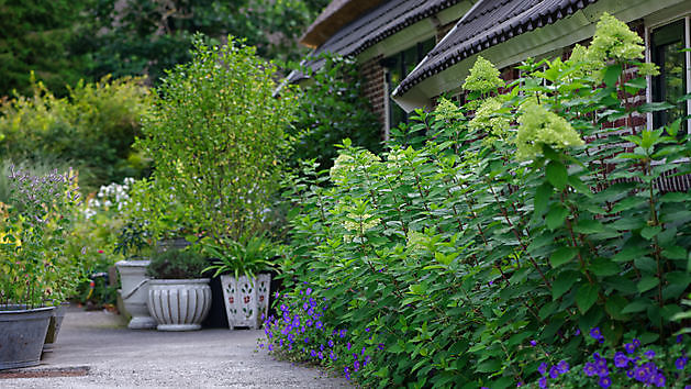 BlommenTuin Buinen - Het Tuinpad Op / In Nachbars Garten