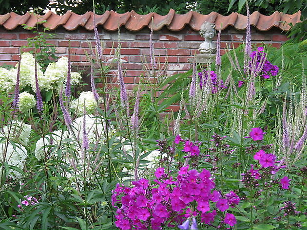 Landidyll Familie Tjarks Friedeburg