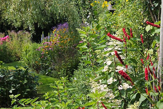 De Hoofdmeesterstuin Emmer-Compascuum - Het Tuinpad Op / In Nachbars Garten