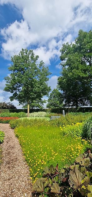 BIG Art & Garden (Beelden in Gees) Gees