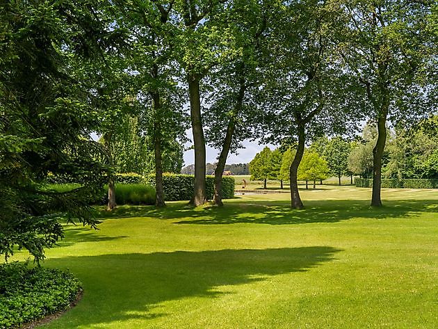 BIG Art & Garden (Beelden in Gees) Gees