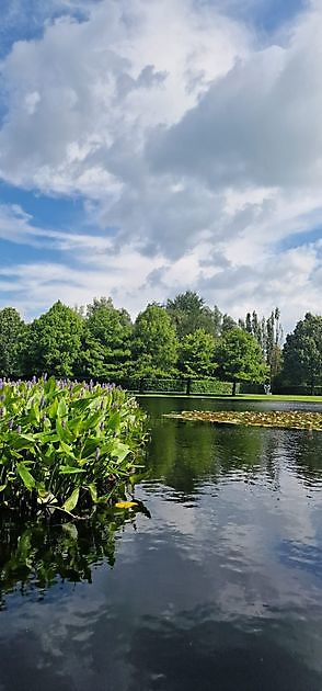 BIG Art & Garden (Beelden in Gees) Gees