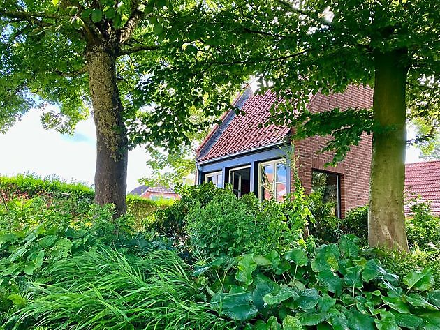 Tuin van het Steenhuis in Nesse Dornum Nesse