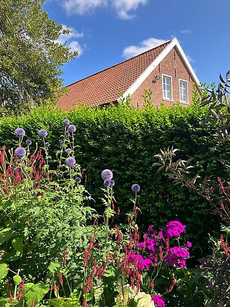 Tuin van het Steenhuis in Nesse Dornum Nesse