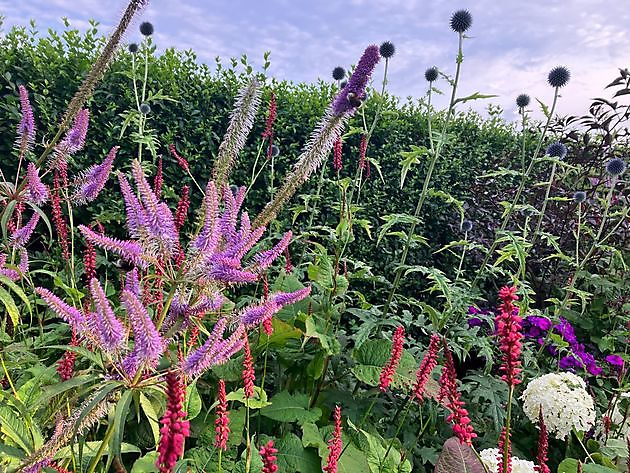 Tuin van het Steenhuis in Nesse Dornum Nesse