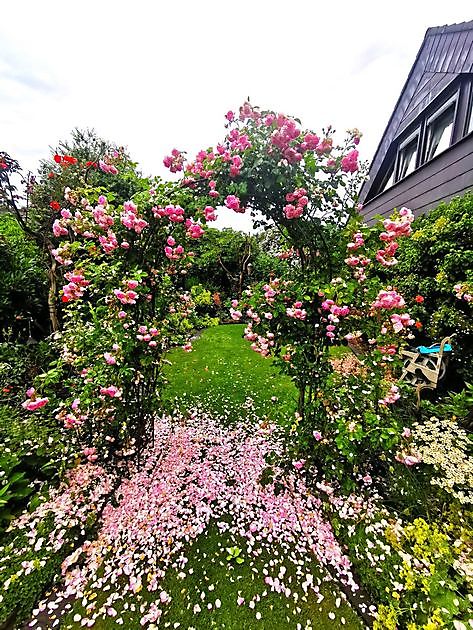 Klein Paradijs Oberlangen