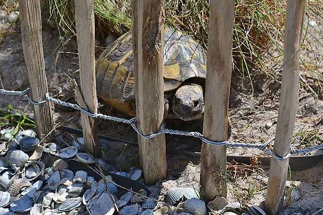 Natuurtuin en rivierkreeftkwekerij Bad Zwischenahn