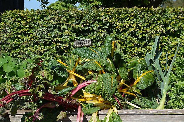 Natuurtuin en rivierkreeftkwekerij Bad Zwischenahn