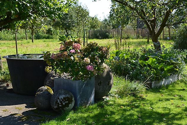 Natuurtuin en rivierkreeftkwekerij Bad Zwischenahn