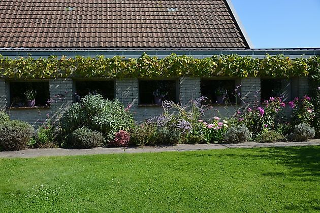 Natuurtuin en rivierkreeftkwekerij Bad Zwischenahn