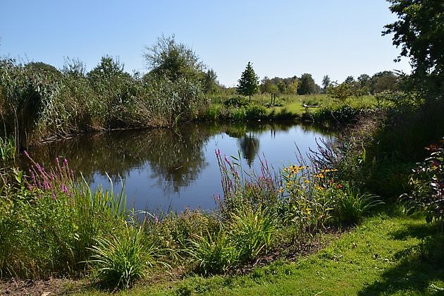 Natuurtuin en rivierkreeftkwekerij Bad Zwischenahn