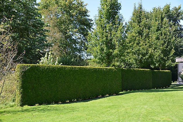 Natuurtuin en rivierkreeftkwekerij Bad Zwischenahn