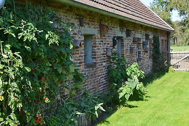 Natuurtuin en rivierkreeftkwekerij Bad Zwischenahn
