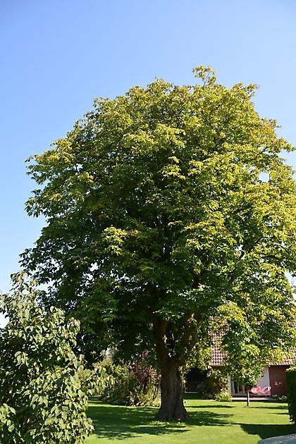 Natuurtuin en rivierkreeftkwekerij Bad Zwischenahn