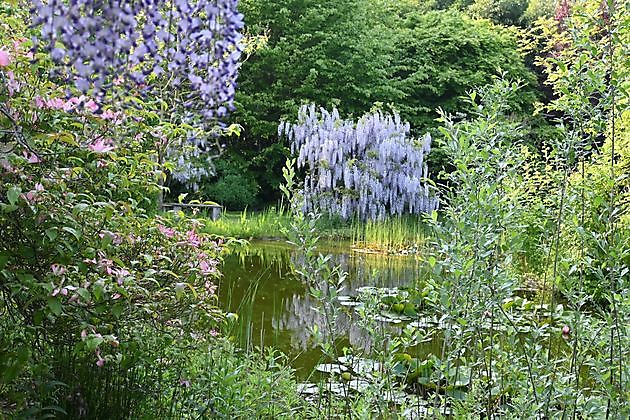 Mei Chu Wilhelminaoord - Het Tuinpad Op / In Nachbars Garten