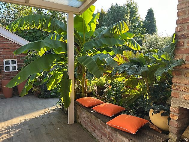 Tuin en Kunst Moormerland