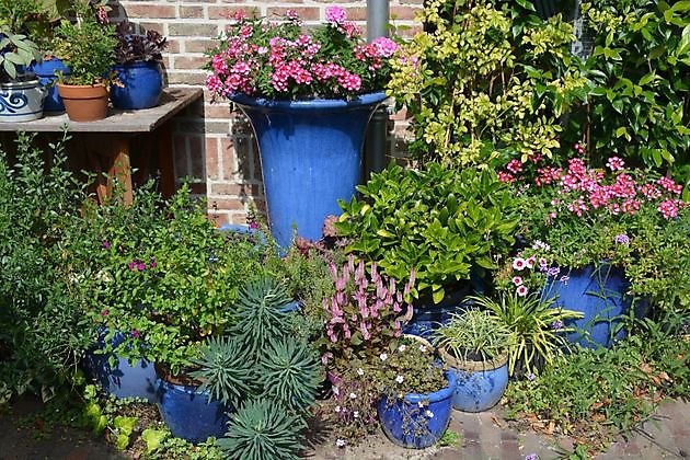 Imke’s tuin Emmen