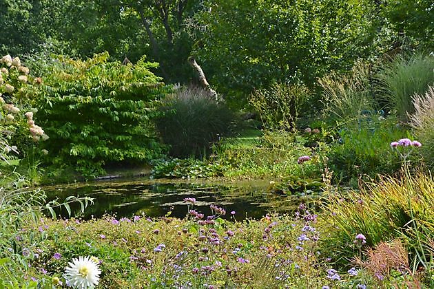 Imke’s tuin Emmen