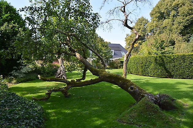 Imke’s tuin Emmen