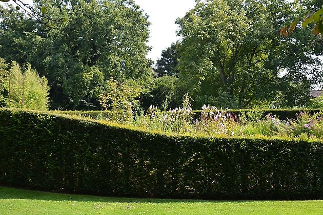 Imke’s tuin Emmen